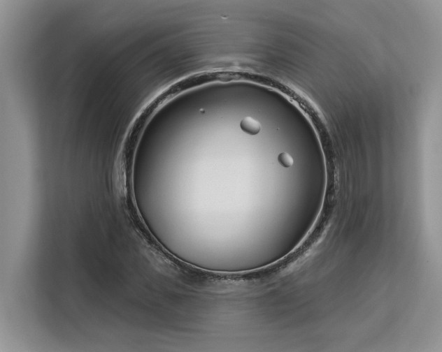X0000113100925200908281345