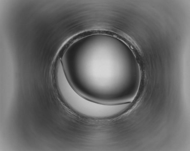 X0000113100926200908281345