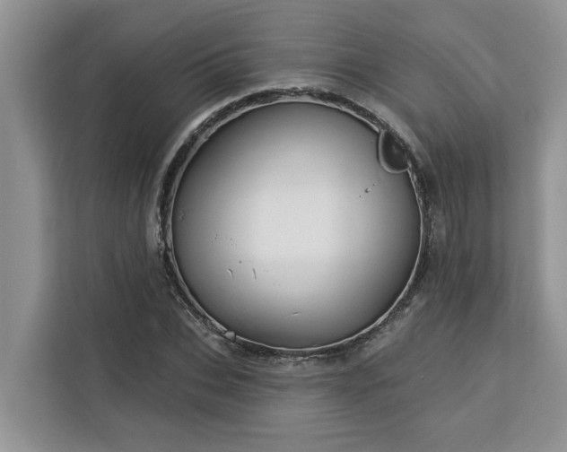 X0000113100927200908281345