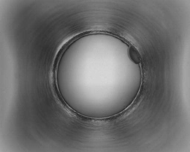 X0000113100928200908281345