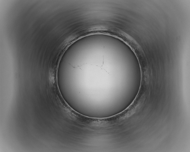 X0000113100929200908281345