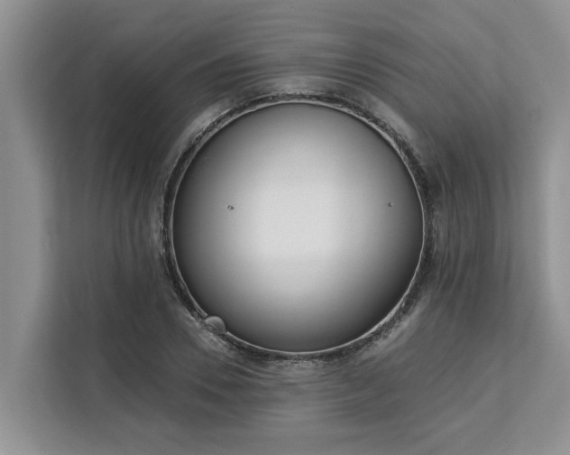 X0000113100930200908281345