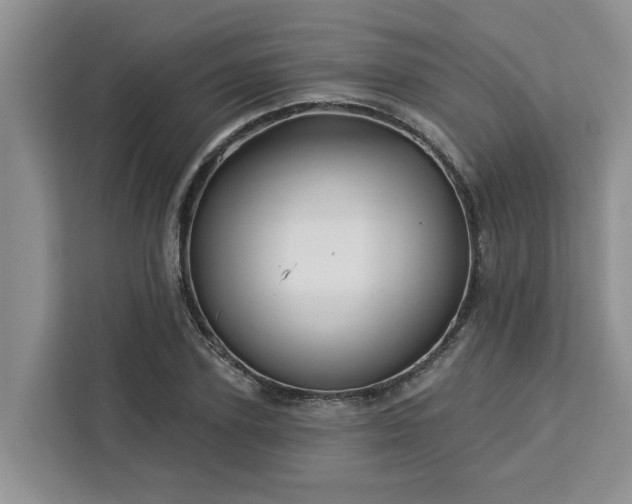 X0000113100931200908281345
