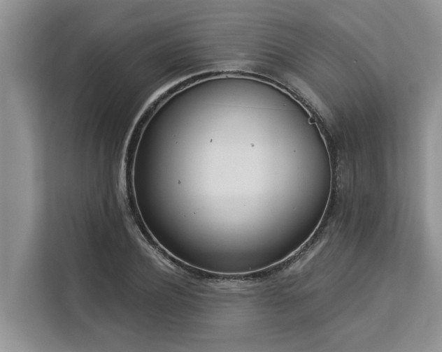 X0000113100932200908281345