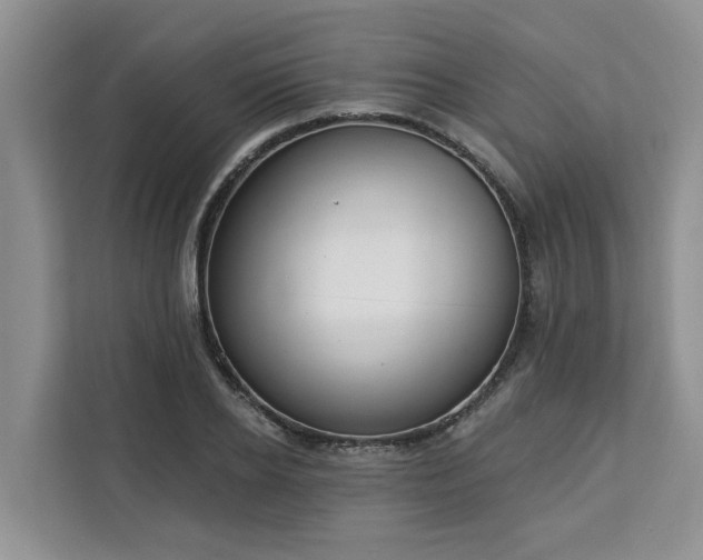X0000113100934200908281345