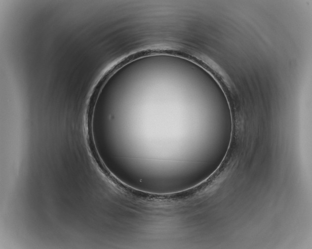 X0000113100935200908281345