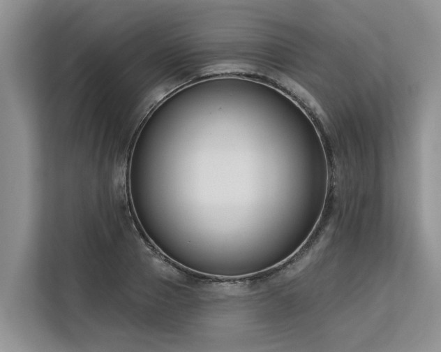 X0000113100937200908281345
