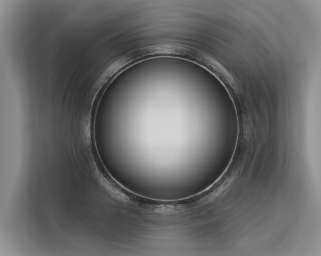 X0000113100938200908281345