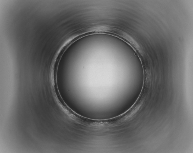 X0000113100939200908281345
