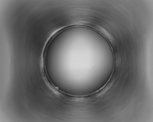 X0000113100940200908281345