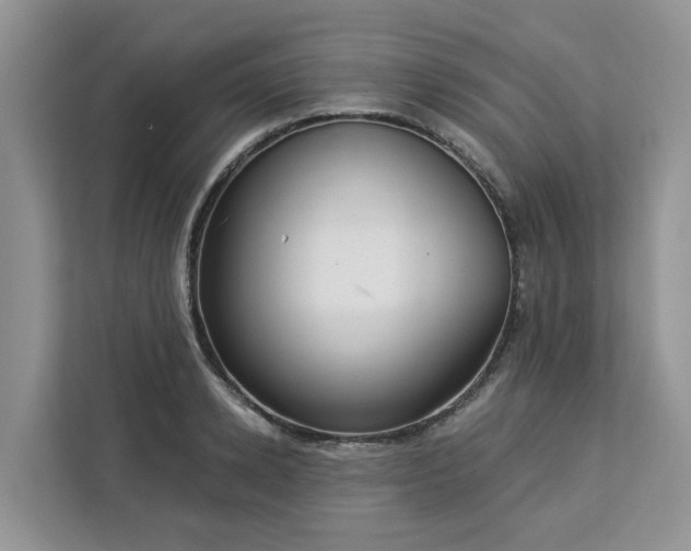 X0000113100942200908281345