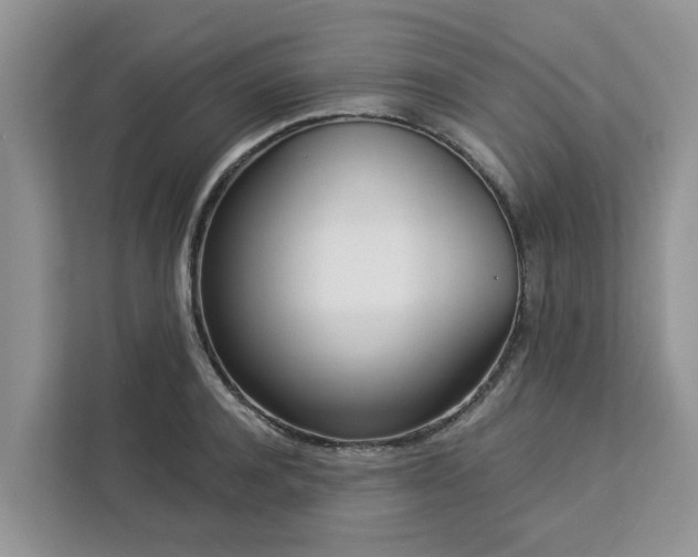 X0000113100944200908281345