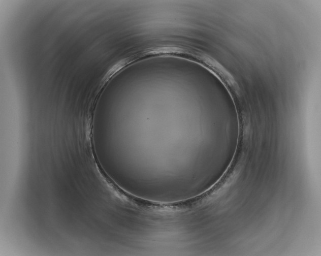 X0000113100945200908281345
