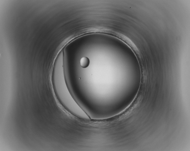 X0000113100946200908281345