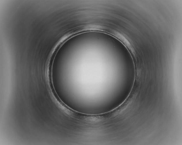 X0000113100947200908281345