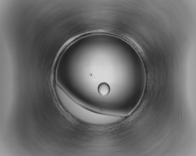 X0000113100948200908281345