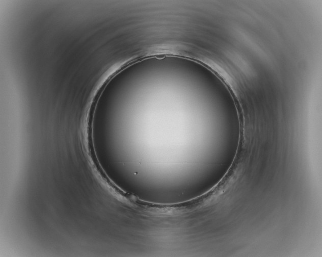X0000113100949200908281345