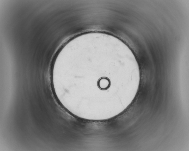 X0000113100950200908281345