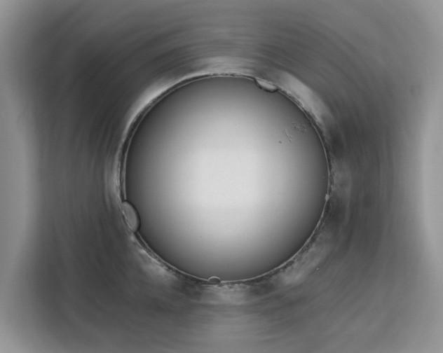 X0000113100952200908281345
