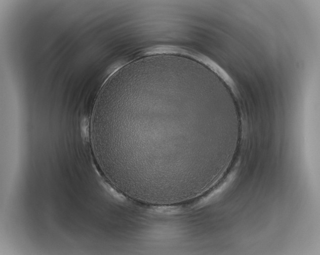 X0000113100953200908281345