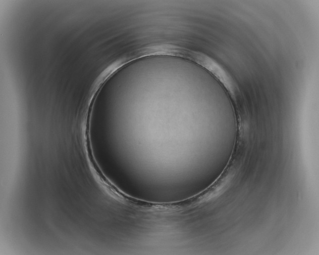 X0000113100954200908281345