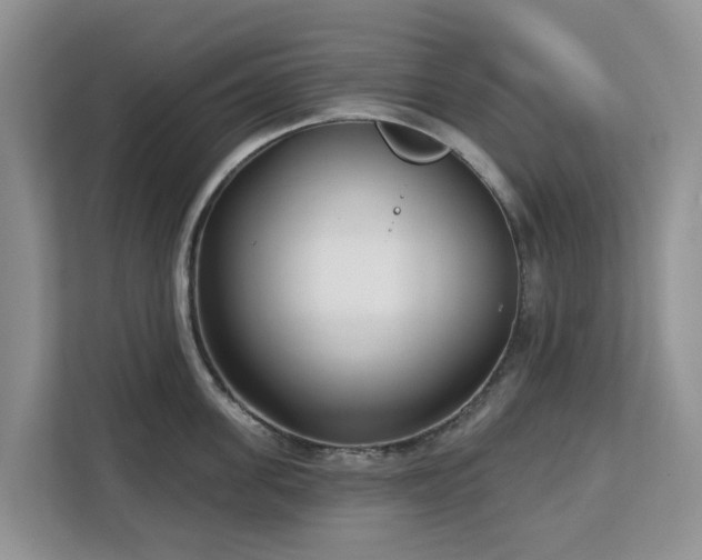 X0000113100955200908281345