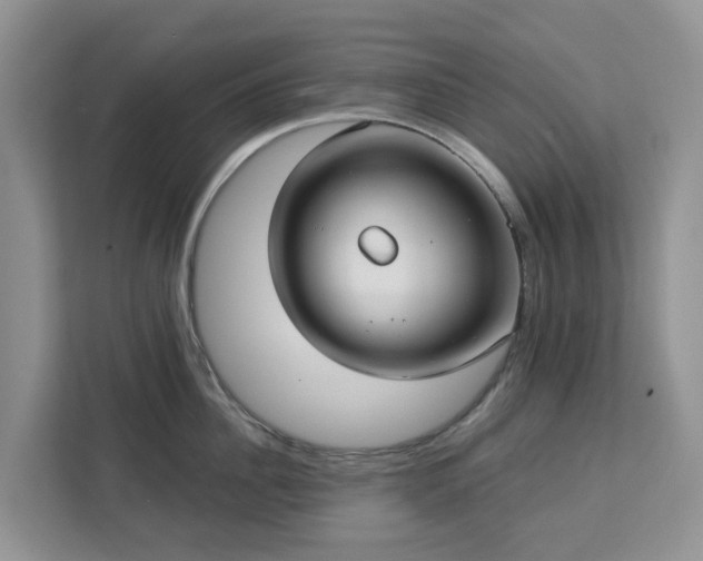 X0000113100956200908281345
