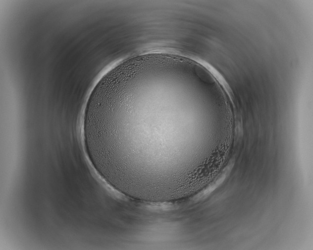 X0000113100957200908281345