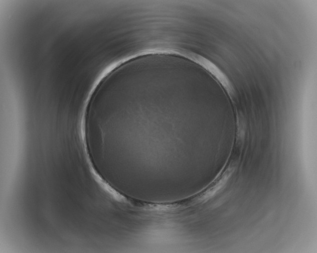 X0000113100958200908281345