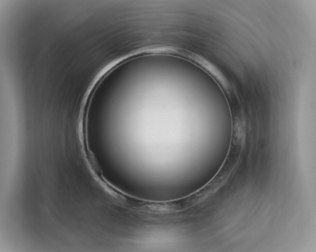 X0000113100959200908281345