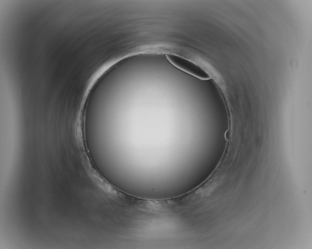 X0000113100960200908281345