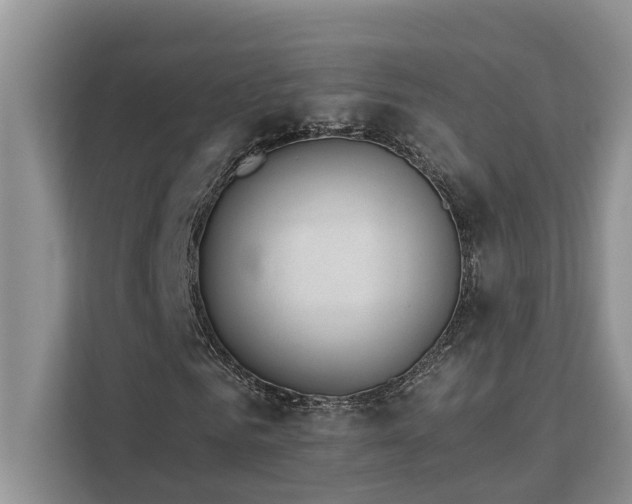 X0000113100961200908281345