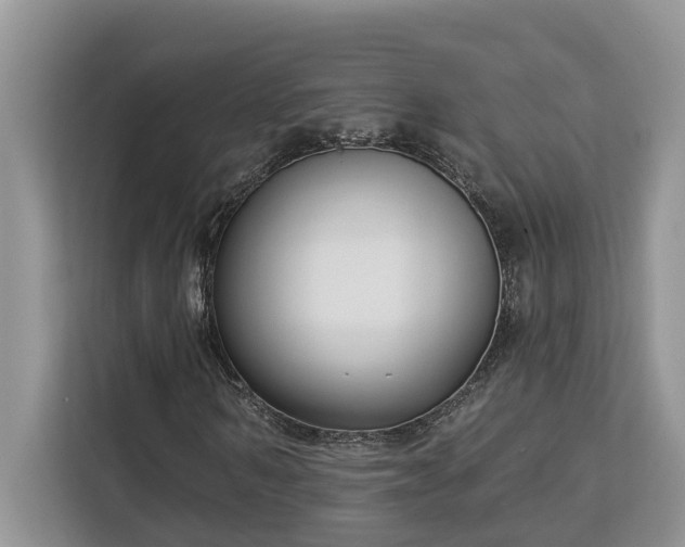 X0000113100962200908281345
