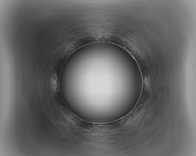 X0000113100963200908281345