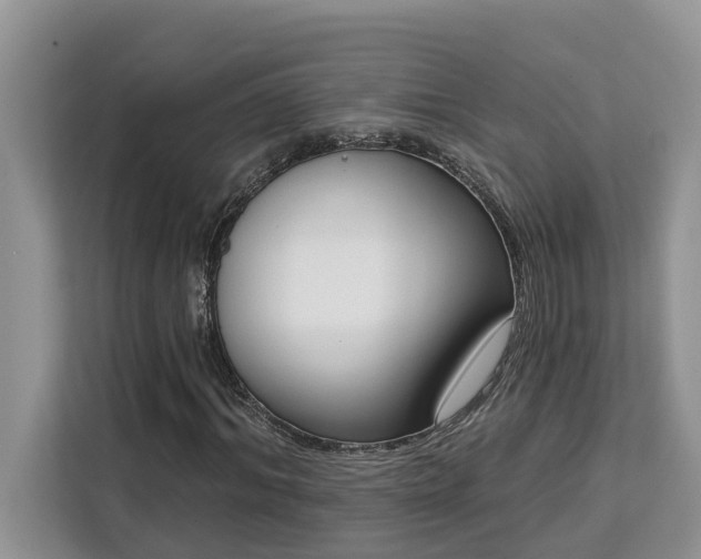 X0000113100964200908281345