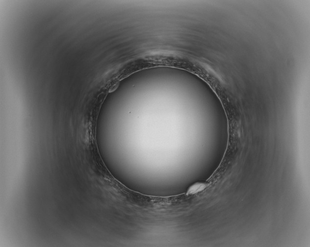 X0000113100965200908281344