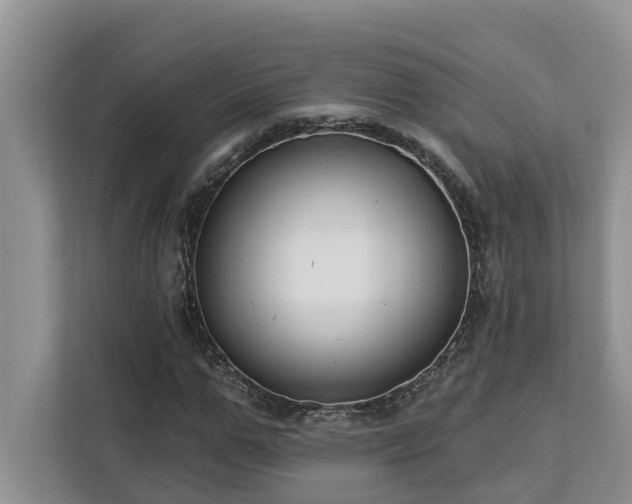 X0000113100967200908281344