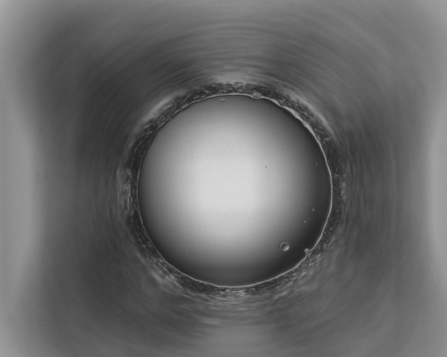 X0000113100968200908281344