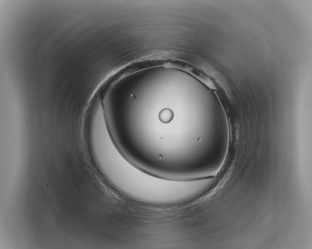 X0000113100973200908281344