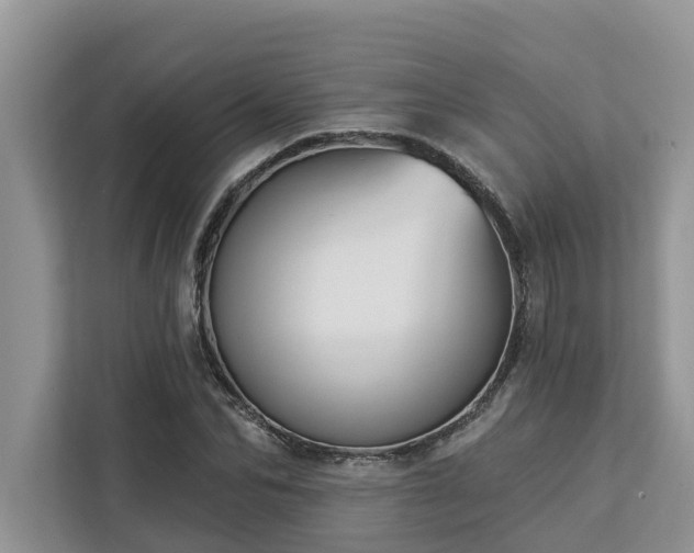 X0000113100974200908281344