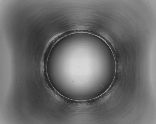 X0000113100979200908281344