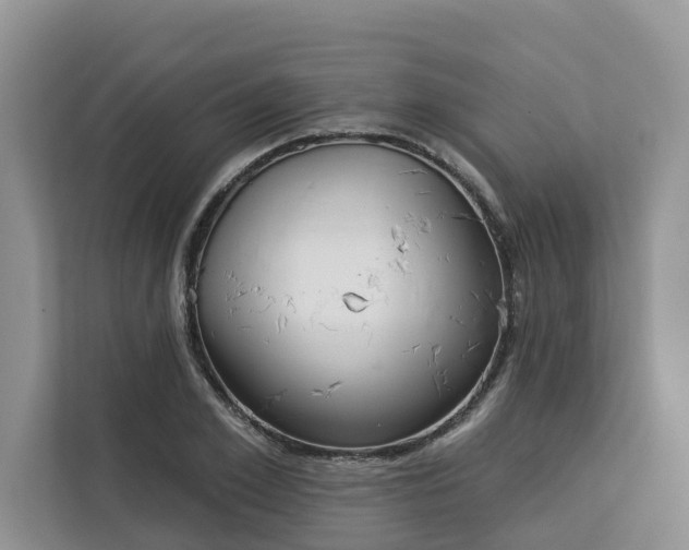 X0000113100981200908281344