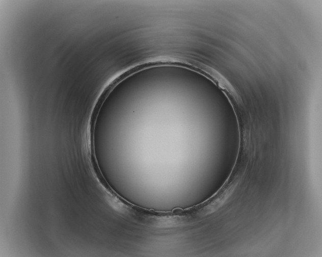 X0000113100988200908281344