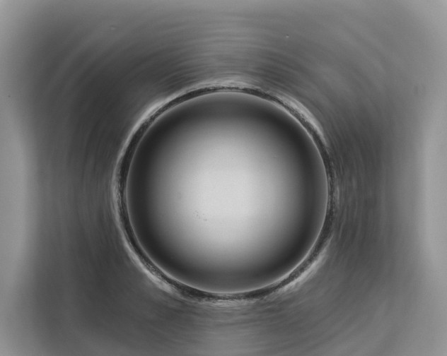 X0000113100989200908281344