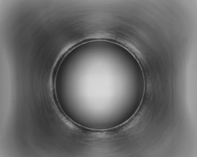 X0000113100990200908281344