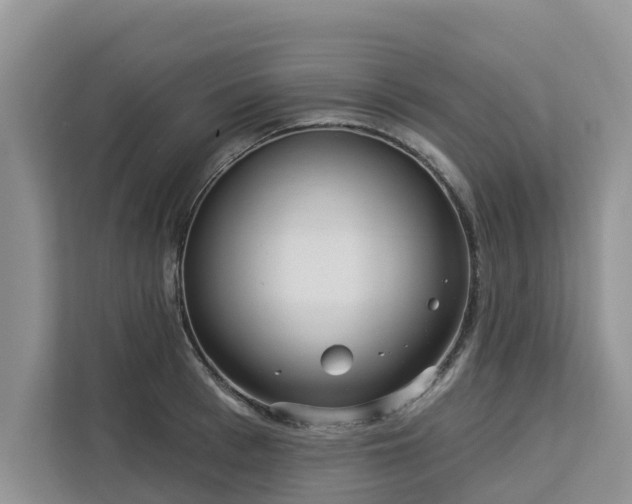 X0000113100993200908281344