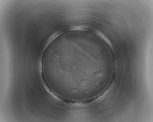 X0000113100994200908281344