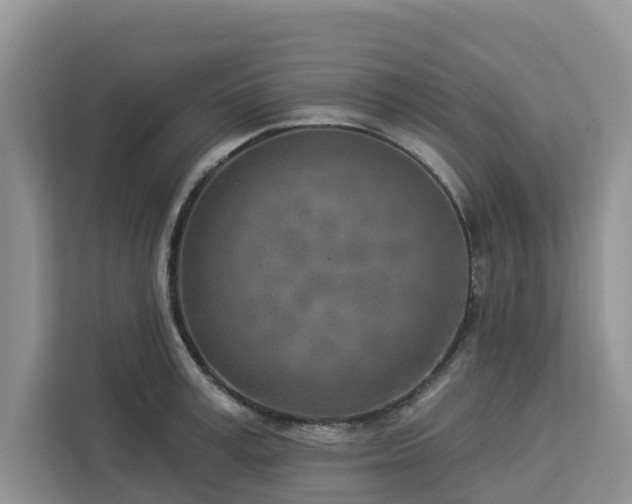 X0000113100995200908281344