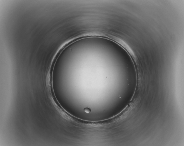 X0000113100996200908281344