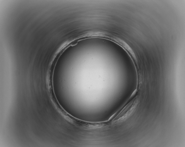 X0000113100997200908281344